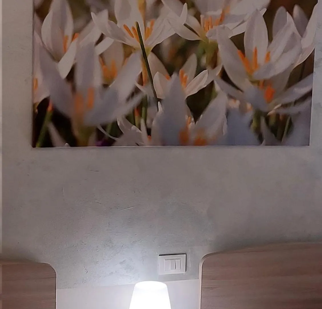 Magnolia Holiday Apartment Lazise